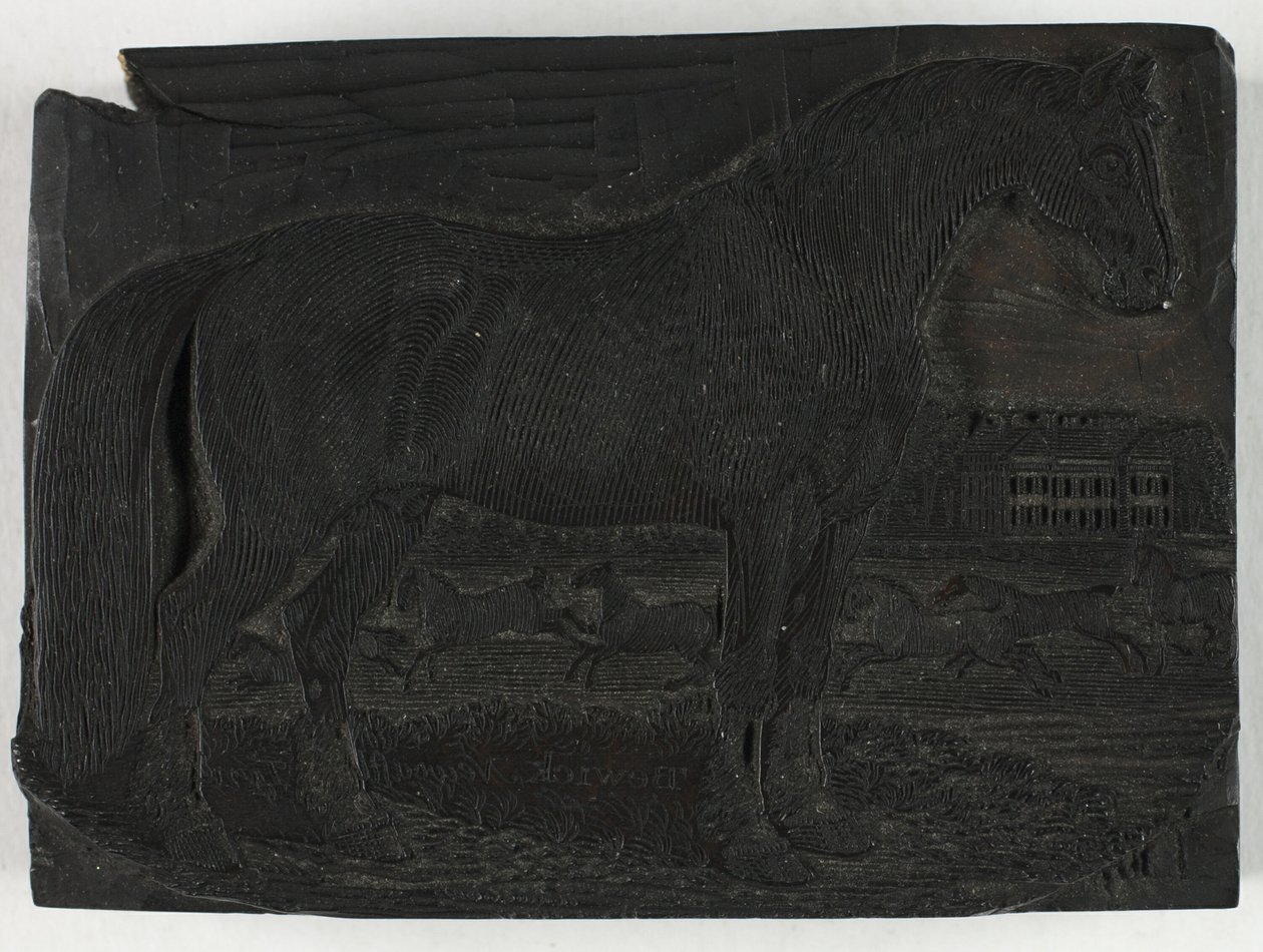 Woodblock pro Černého koně, z Obecné historie čtyřnožců od Thomas Bewick