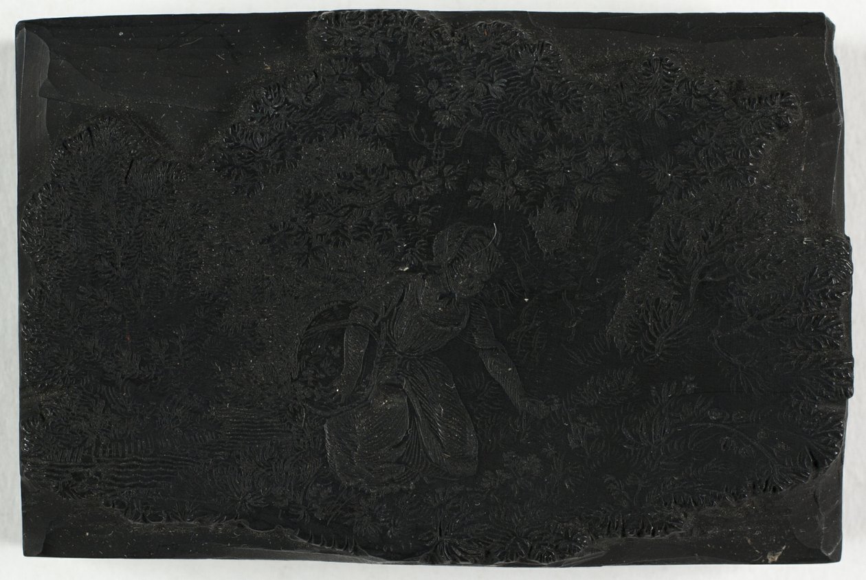 Woodblock pro ženu sbírající květiny od Thomas Bewick