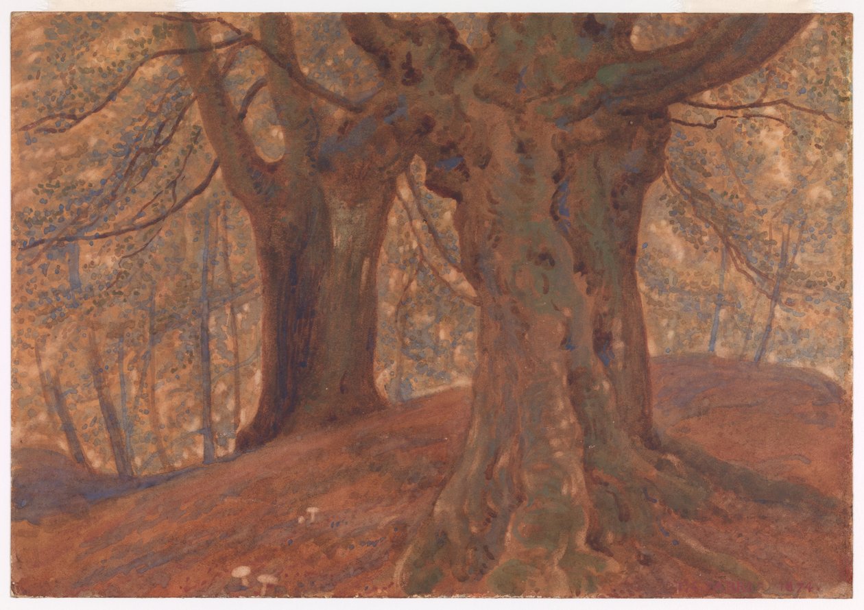 Burnham Beeches od Thomas Charles Farrer