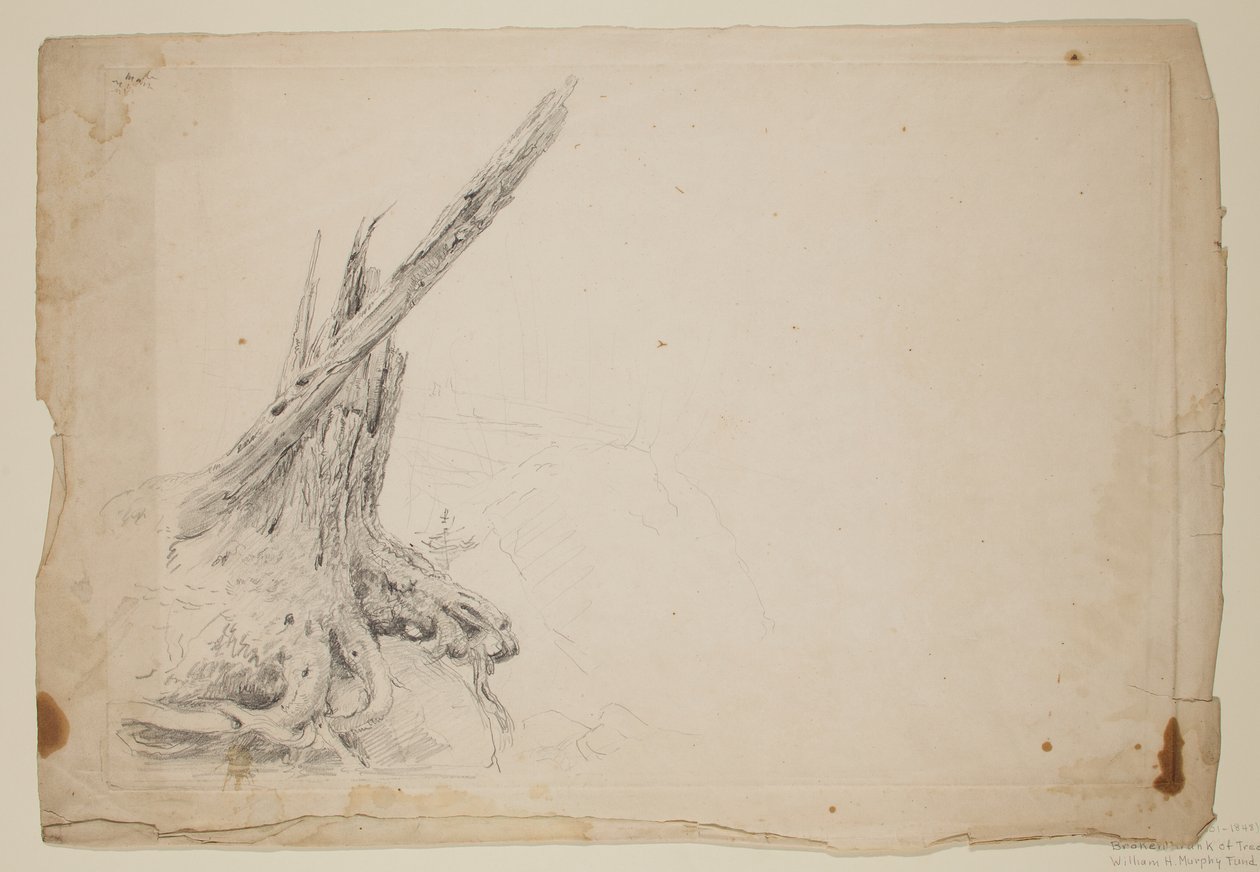 Zlomený kmen stromu (tužka na papíře) od Thomas Cole