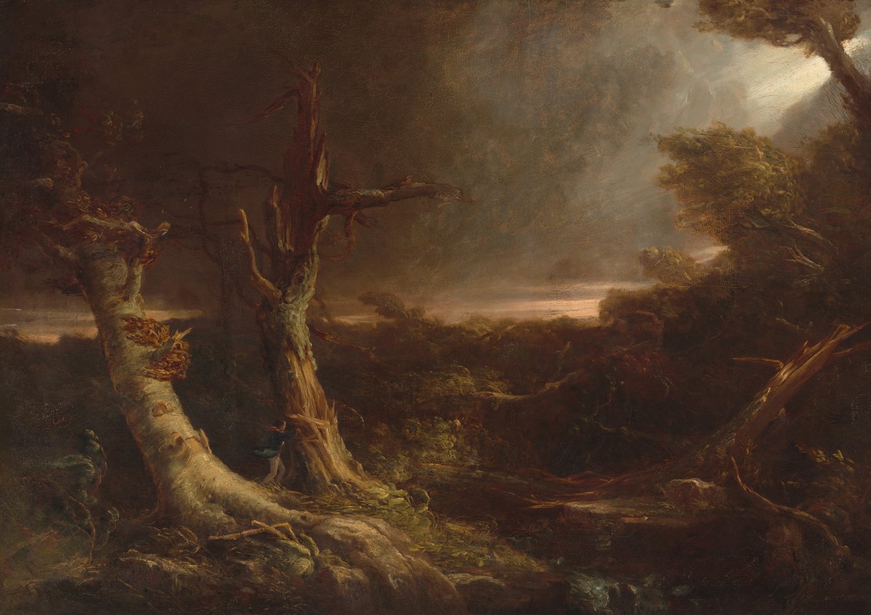 Tornádo v americkém lese od Thomas Cole
