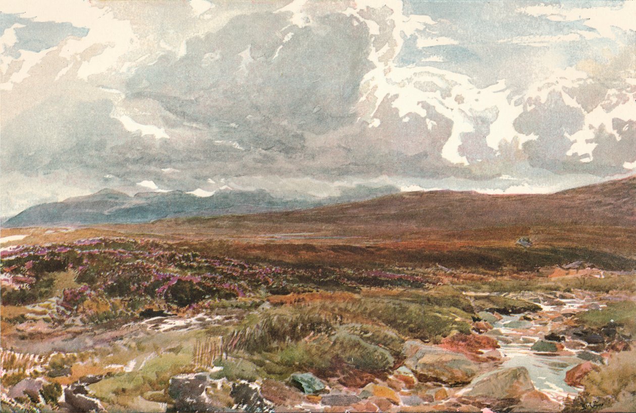 Sussex Common, c1889 od Thomas Collier