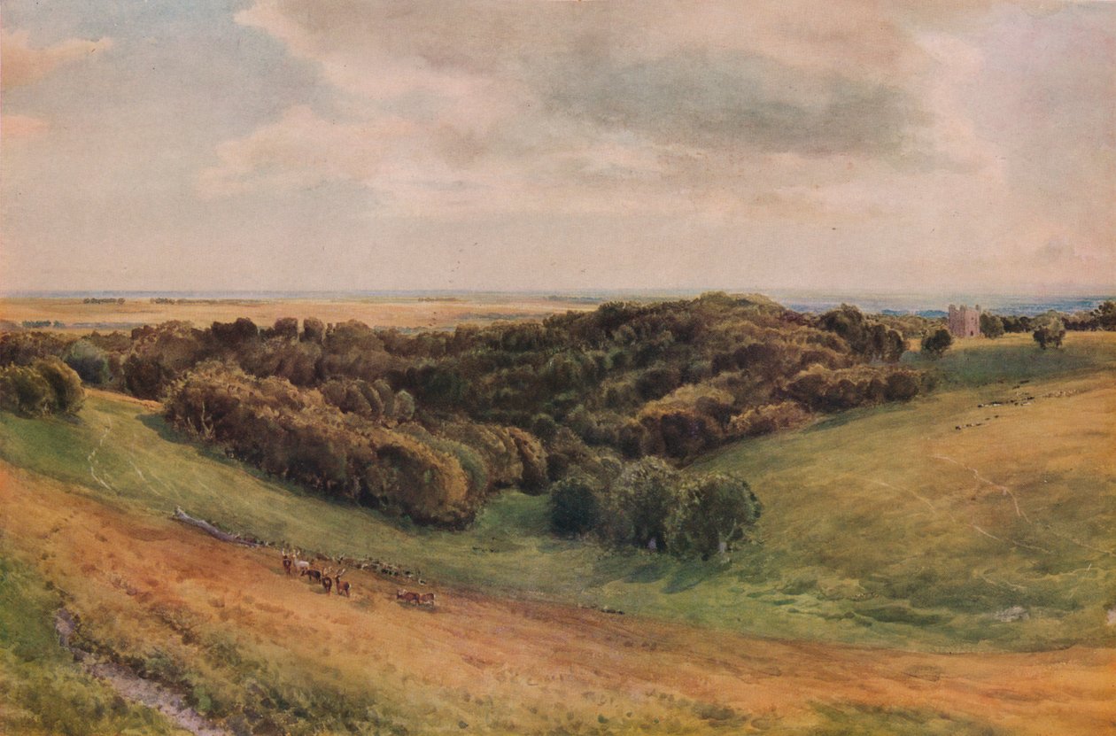 Arundel Park, 1874 od Thomas Collier