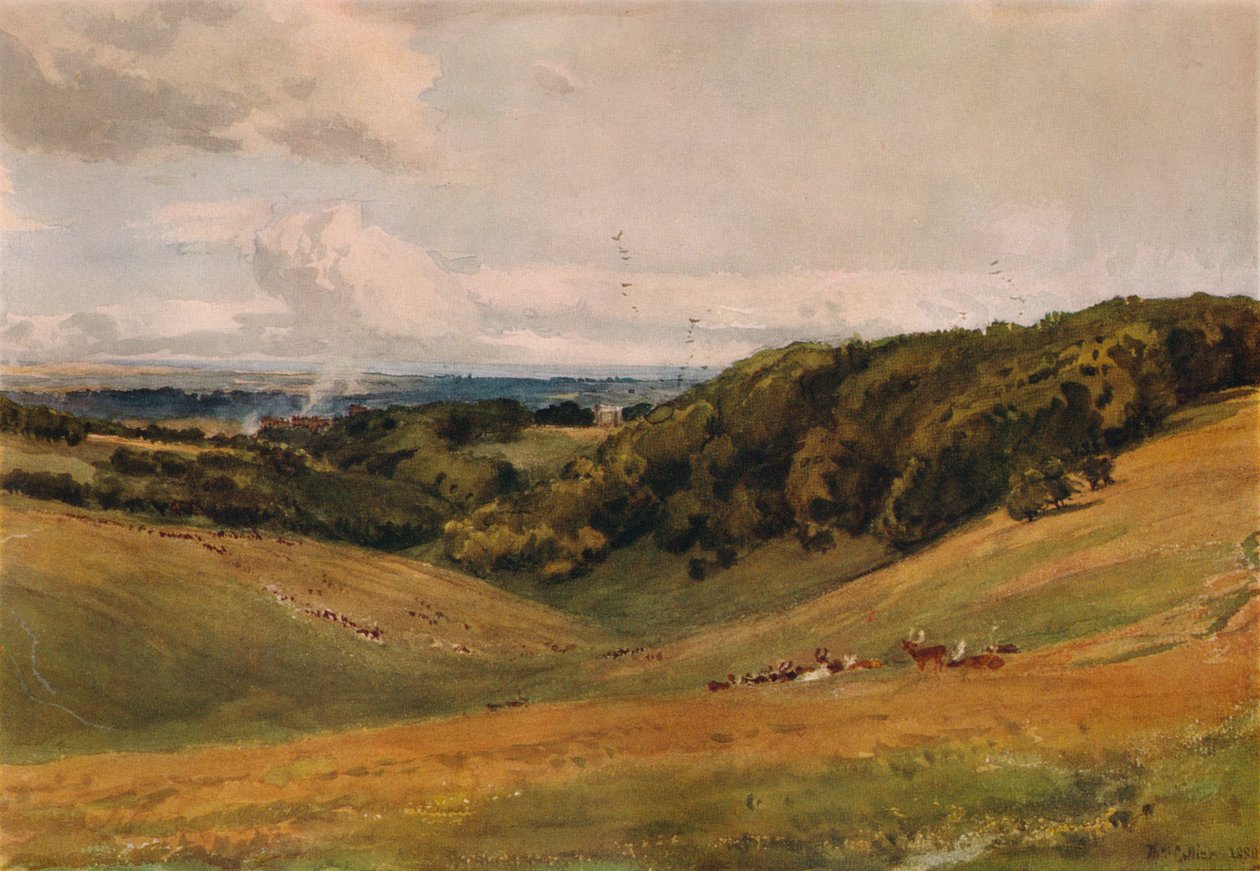 Arundel Park, s jeleny, 1880 od Thomas Collier