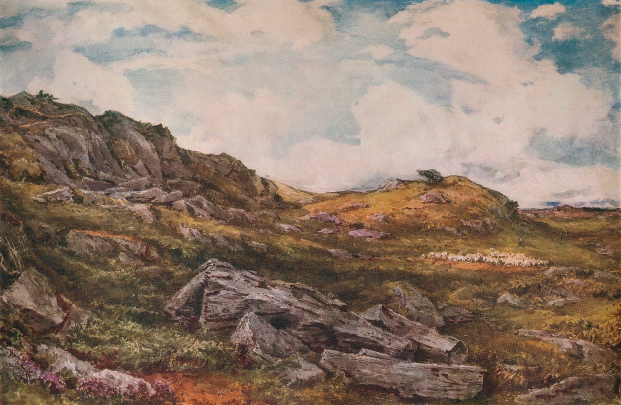 Blythburgh Common, 1888 od Thomas Collier