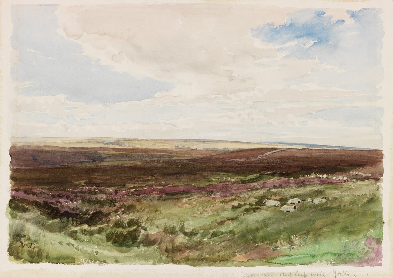 Moorland poblíž Hart Leap Well, Yorkshire (akvarel na papíře) od Thomas Collier