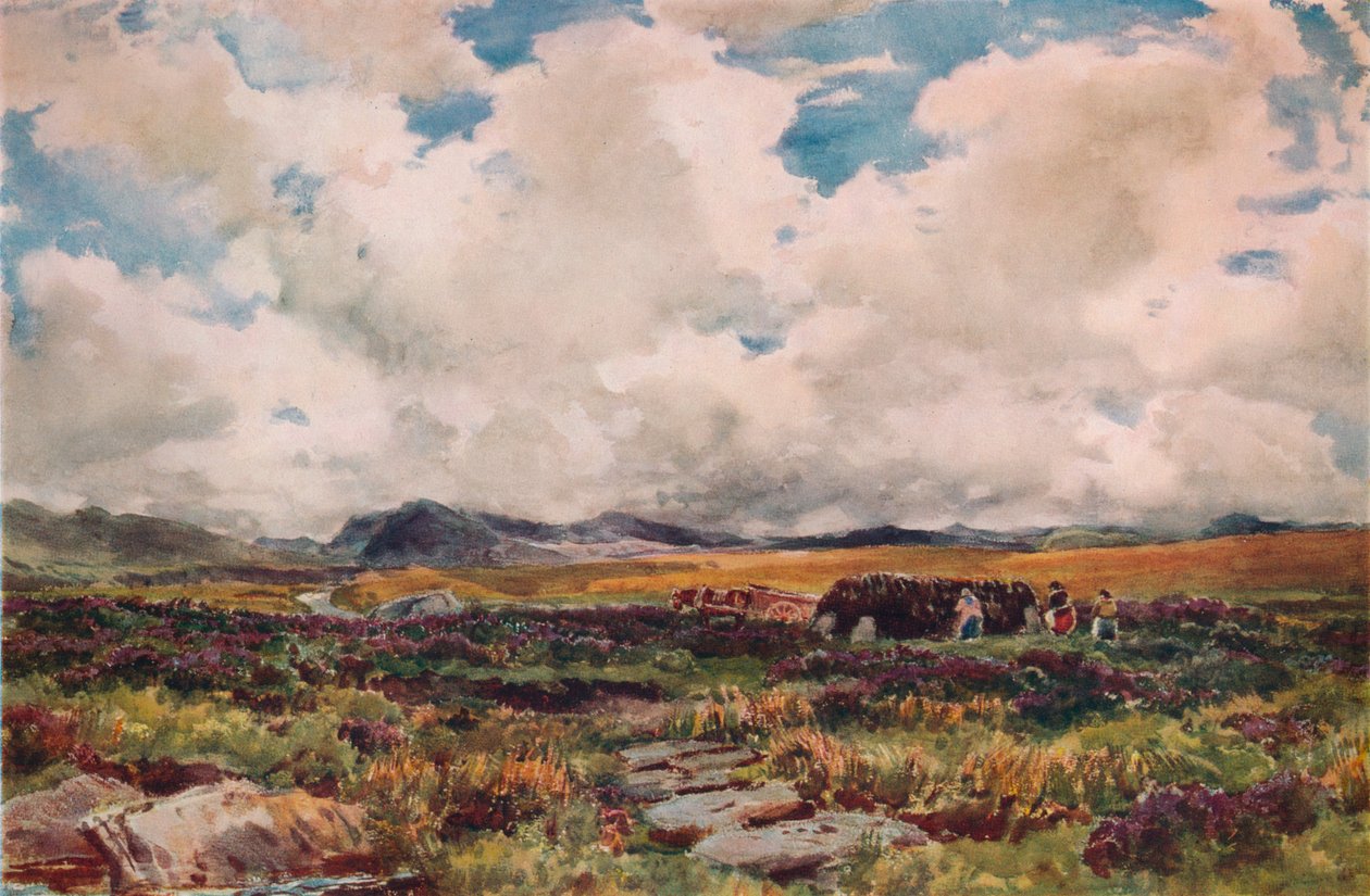 Stacking Peat, Festiniog, Severní Wales, 1881 od Thomas Collier