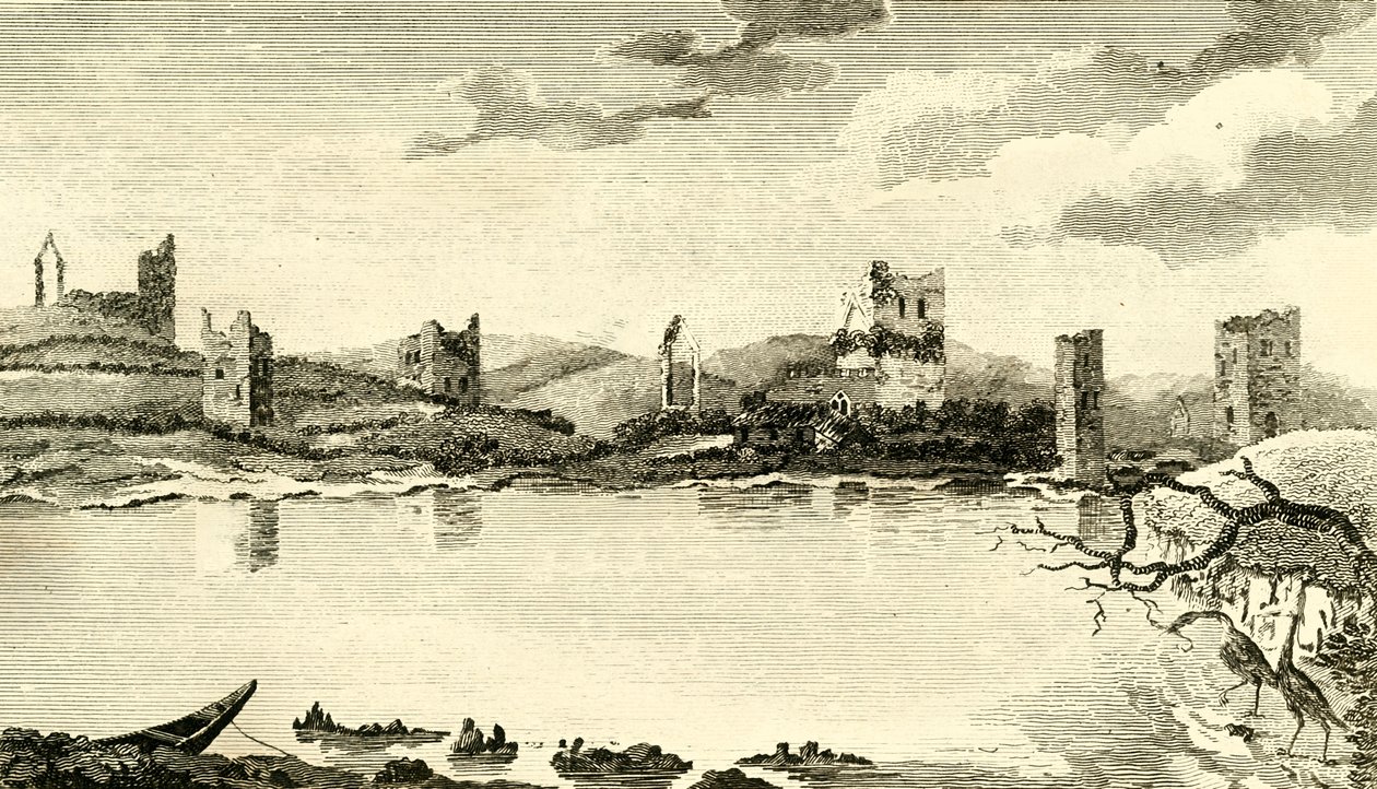N. View of the Ruins of Clomines, Co. Wexford, 1791. od Thomas Cook