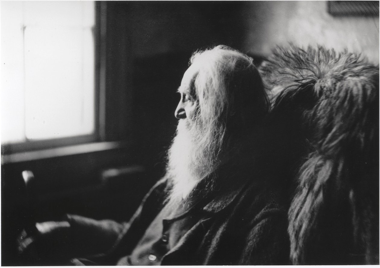 Walt Whitman v Camdenu, N.J., asi 1891 (stříbrný tisk na papíře) od Thomas Cowperthwait Eakins
