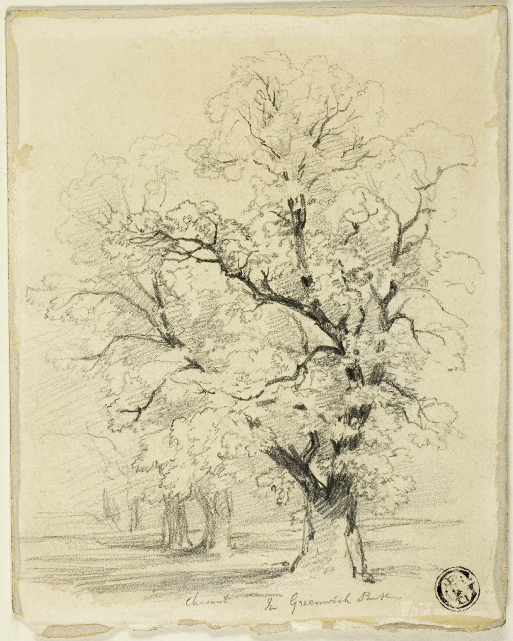 Ches[t]nut v Greenwichském parku od Thomas Creswick