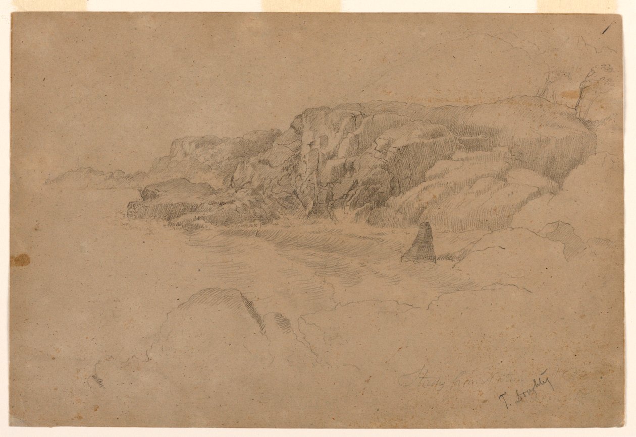 Studie z přírody od Thomas Doughty