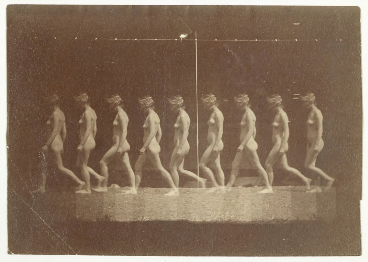 Fotografie Marey Wheel of Unidentified Model, 1884. od Thomas Eakins