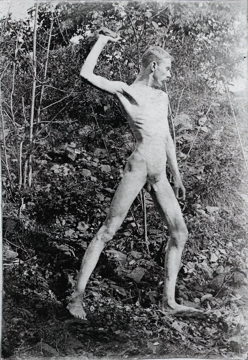 Rock Thrower, c. 1883. od Thomas Eakins