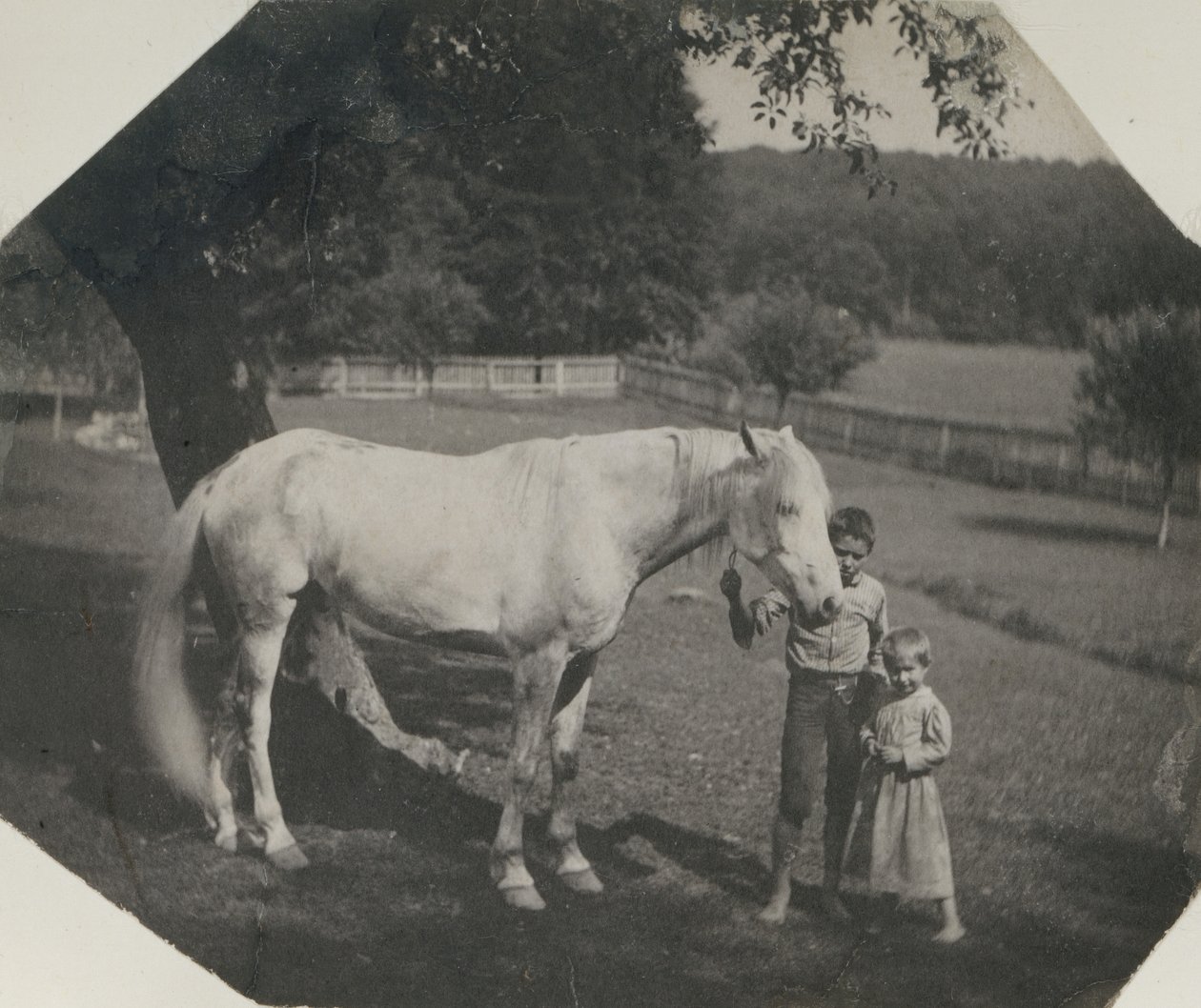 Thomas Eakinsův kůň Billy a dvě Crowellovy děti v Avondale, Pennsylvania, ca. 1892. od Thomas Eakins