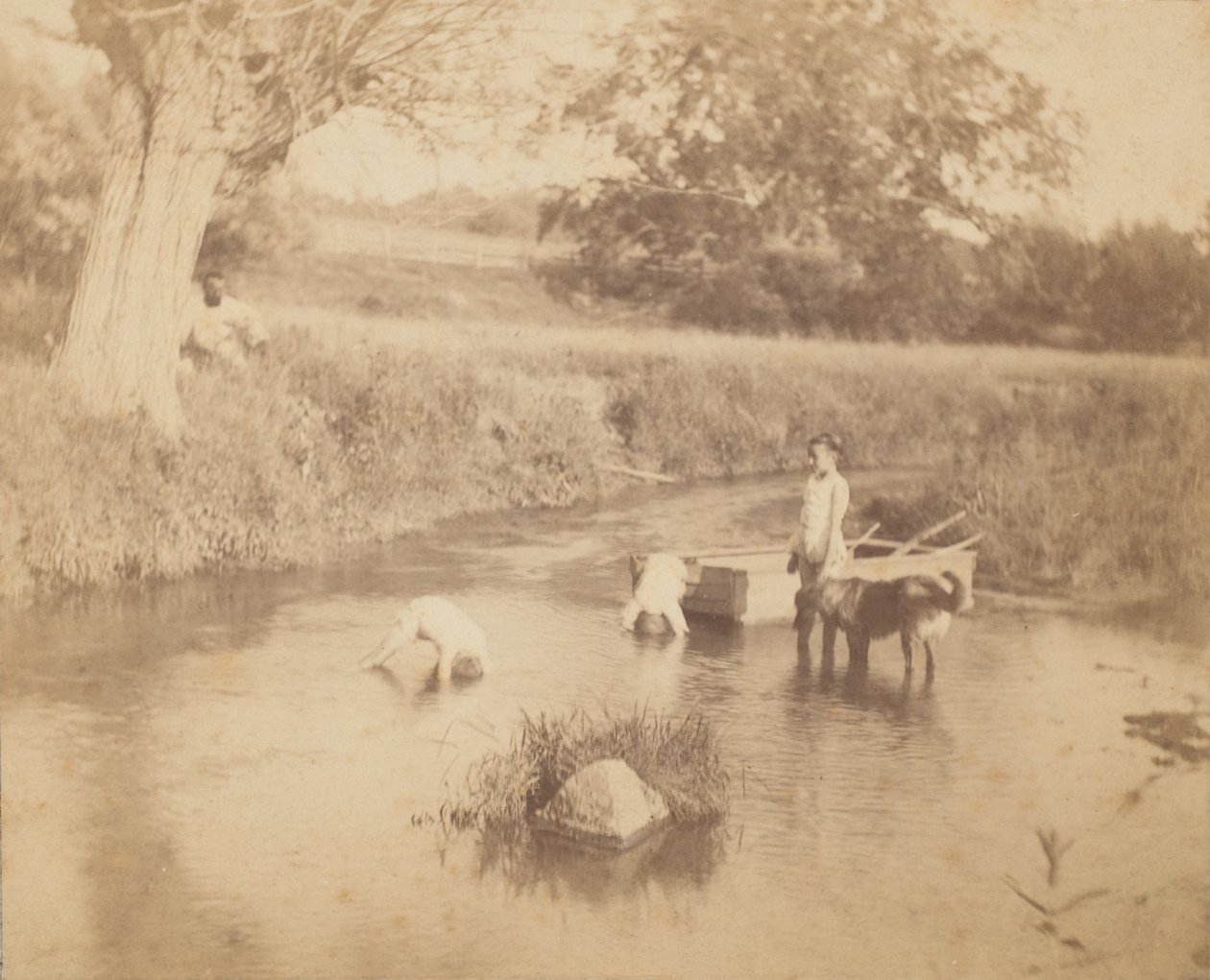 [Tři děti a pes si hrají v potoce, 4. července 1883], 1883., 1883. od Thomas Eakins