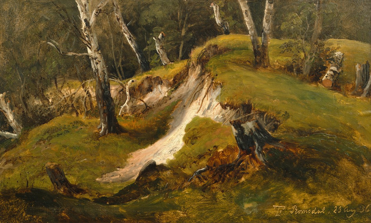 Zásoby Birck v Romsdalu od Thomas Fearnley