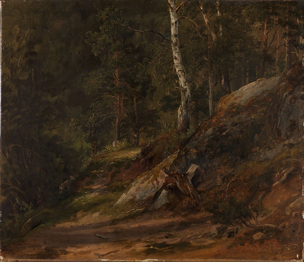 Lesní studie z Romsdalu od Thomas Fearnley