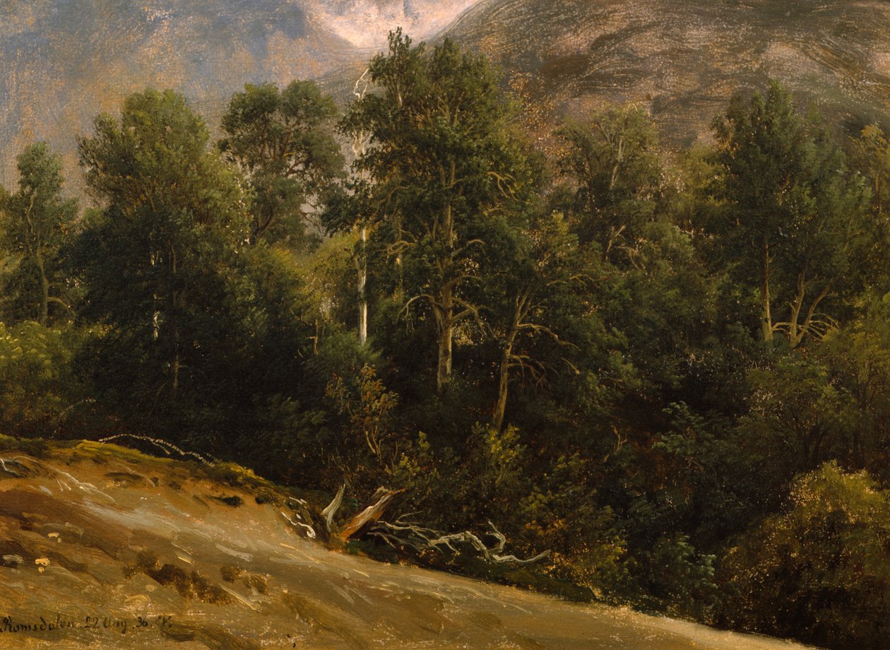 Les v Romsdalu od Thomas Fearnley