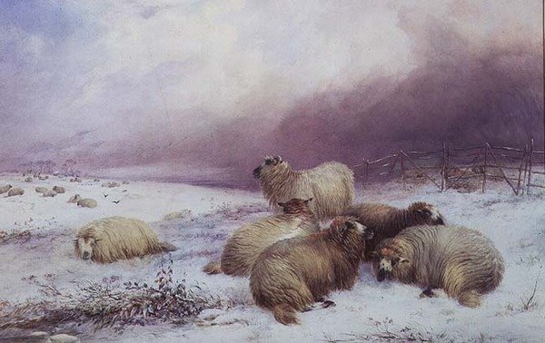 Zimní krajina s ovcemi od Thomas Francis Wainewright