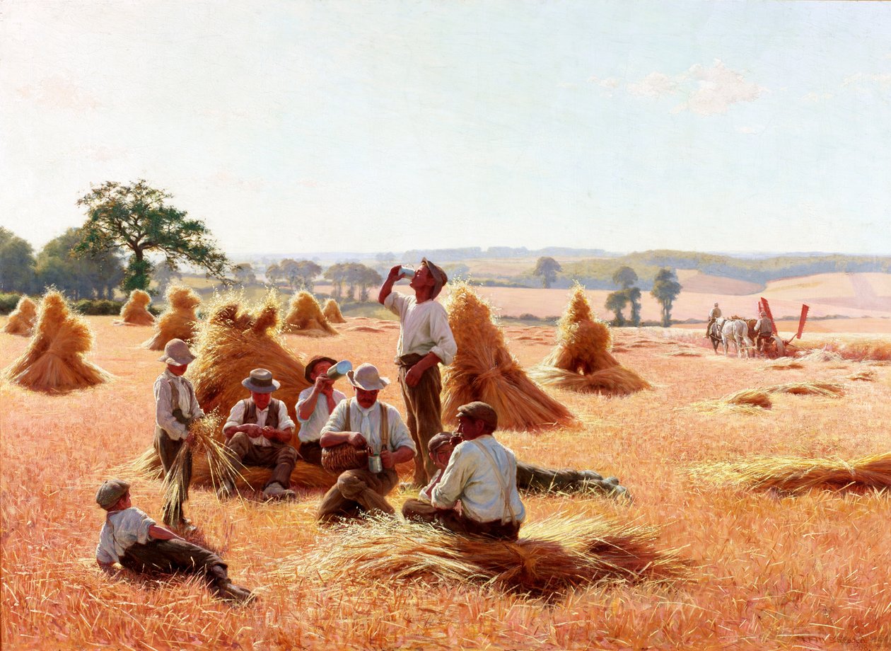 Kombajny na odpočinku, 1898 od Thomas Frederick Mason Sheard
