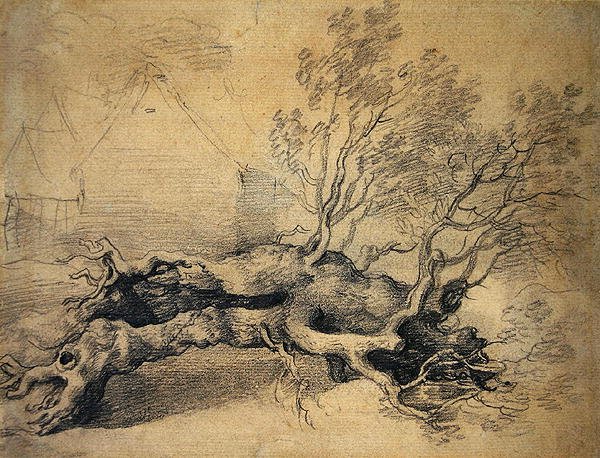 Padlý strom s hospodářskými budovami za (tužka na papíře) od Thomas Gainsborough