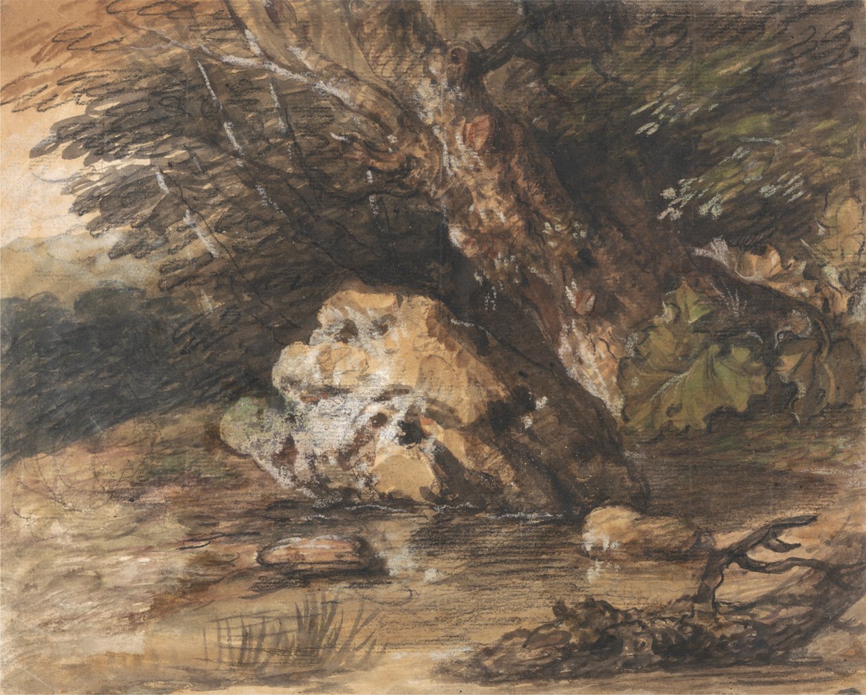 Lesní tůň s kameny a rostlinami od Thomas Gainsborough