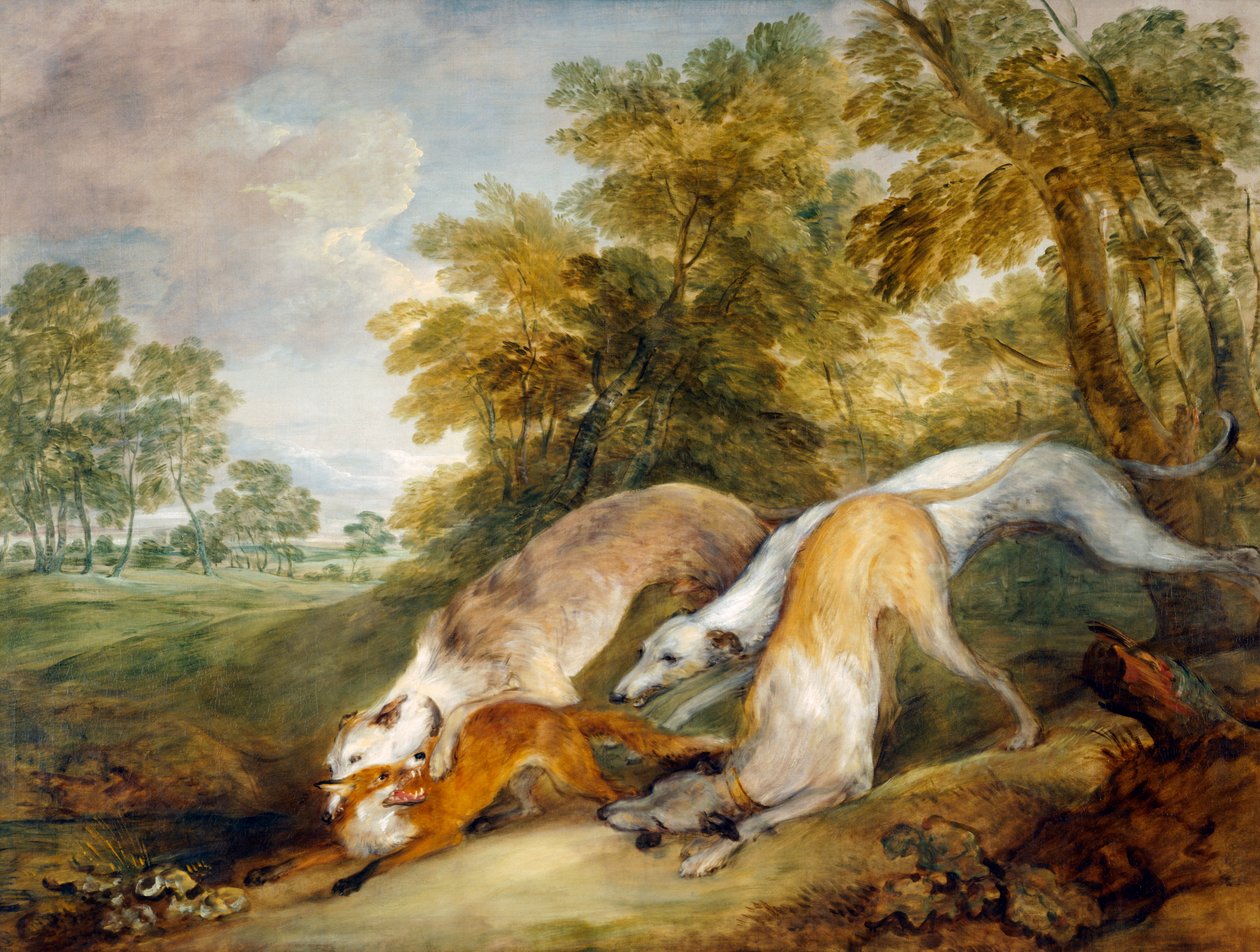 Greyhoundi coursing liška (olej na plátně) od Thomas Gainsborough