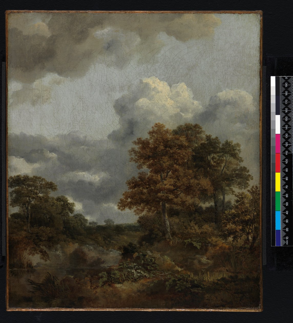 Krajina s bazénem, 1746-1747 od Thomas Gainsborough