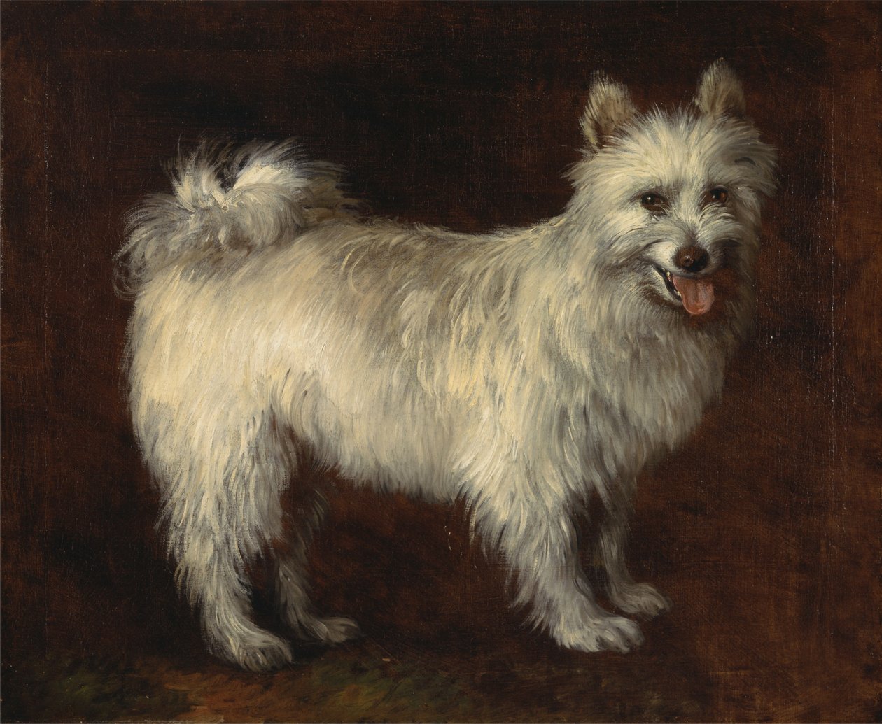 Spitz Pes od Thomas Gainsborough