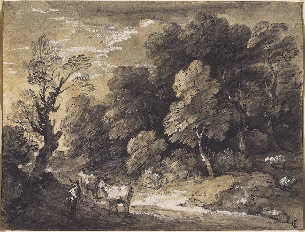Zalesněná krajina s pastevcem a dobytkem, kolem 1775-80 (černá křída a šedočerná barva, zvýrazněná bílým kvašem na položený papír) od Thomas Gainsborough