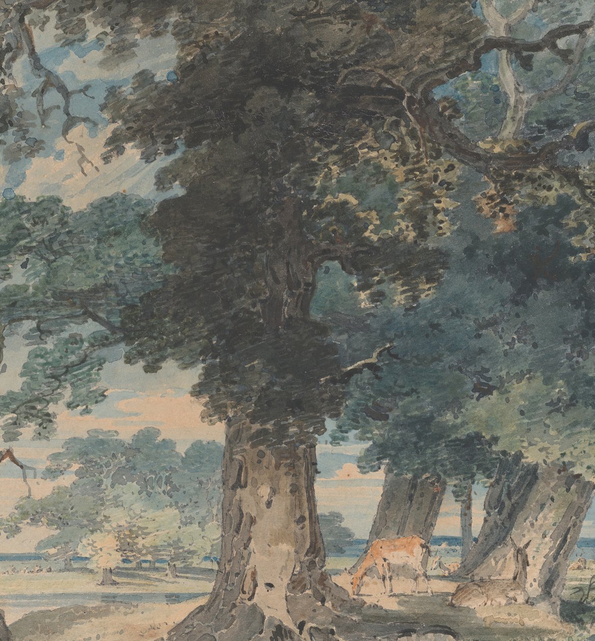 Jelen ve Windsorském lese, 1793-94. od Thomas Girtin