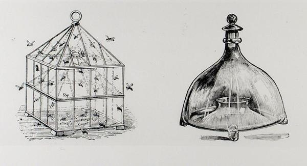 Pasti na vosy a mouchy, z knihy Thomase Mawsona „Umění a řemeslo zahradní tvorby“, vydané v roce 1900 (rytina) (černobílá fotografie) od Thomas Hayton Mawson