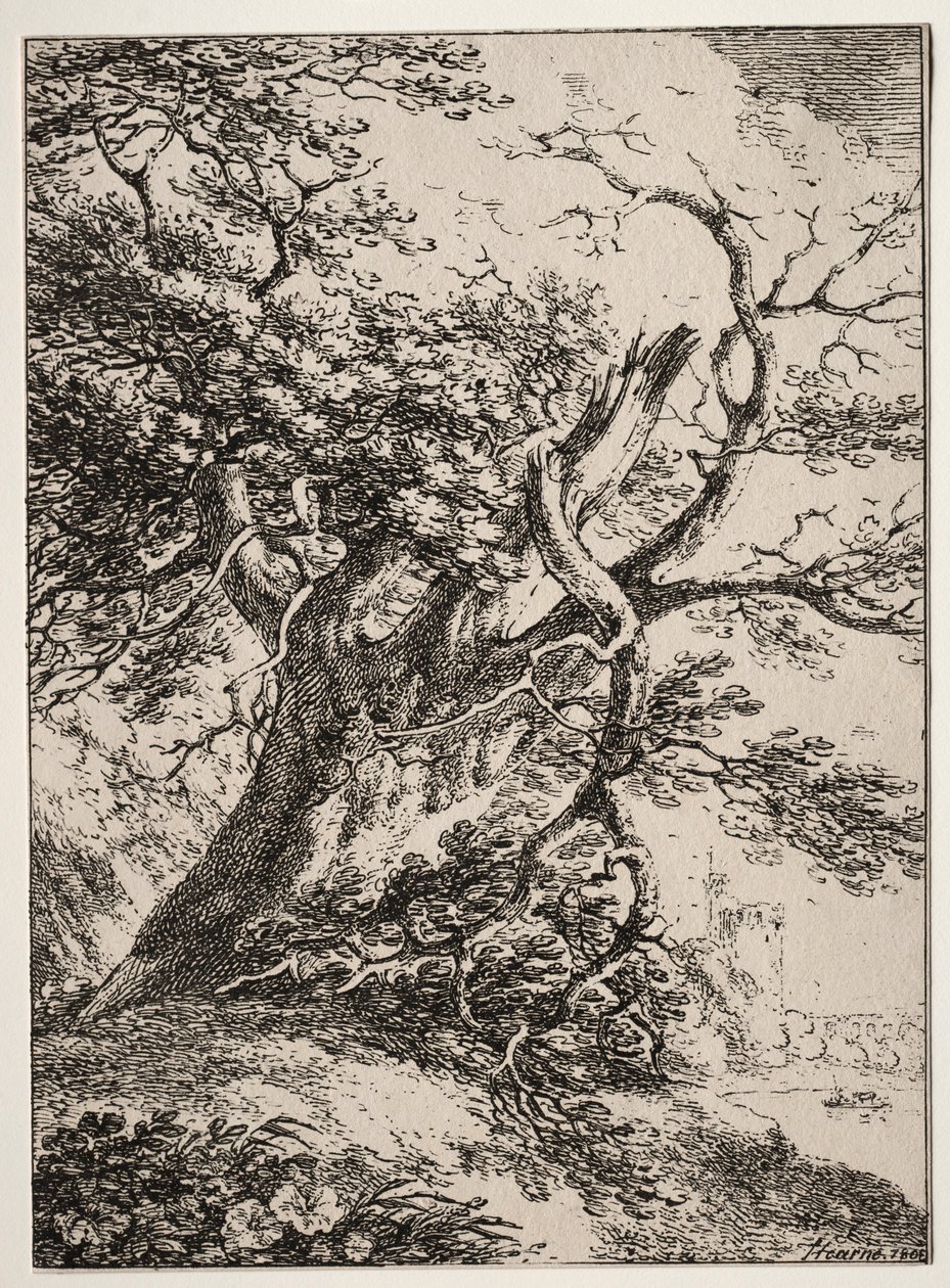 Vzorky polyautografie: Krajina s dubem, 1803. od Thomas Hearne