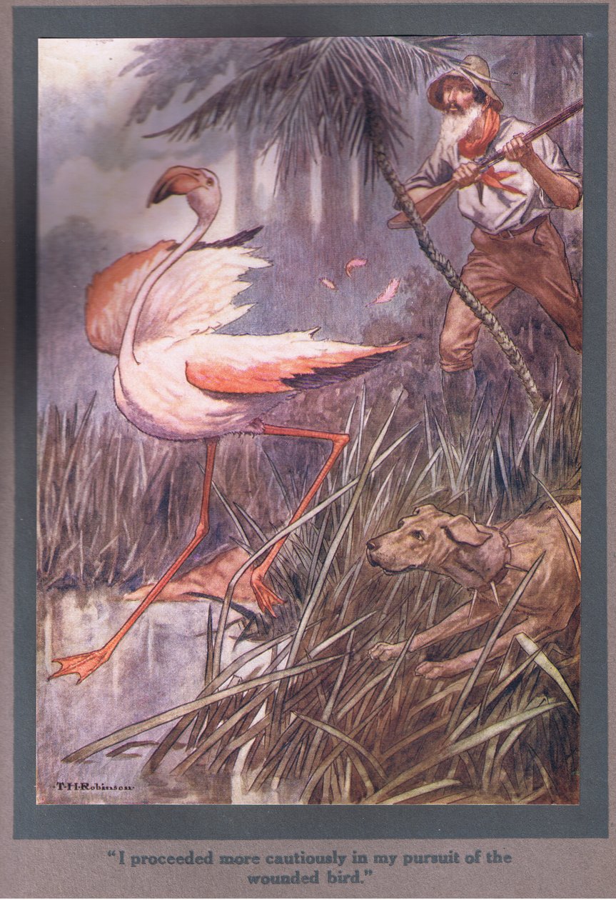Při pronásledování zraněného ptáka jsem postupoval opatrněji (barevná litografie). od Thomas Heath Robinson
