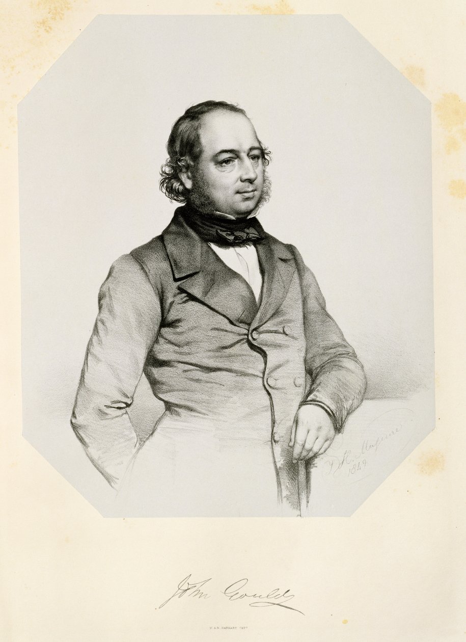 John Gould (1804-81) 1849 od Thomas Herbert Maguire