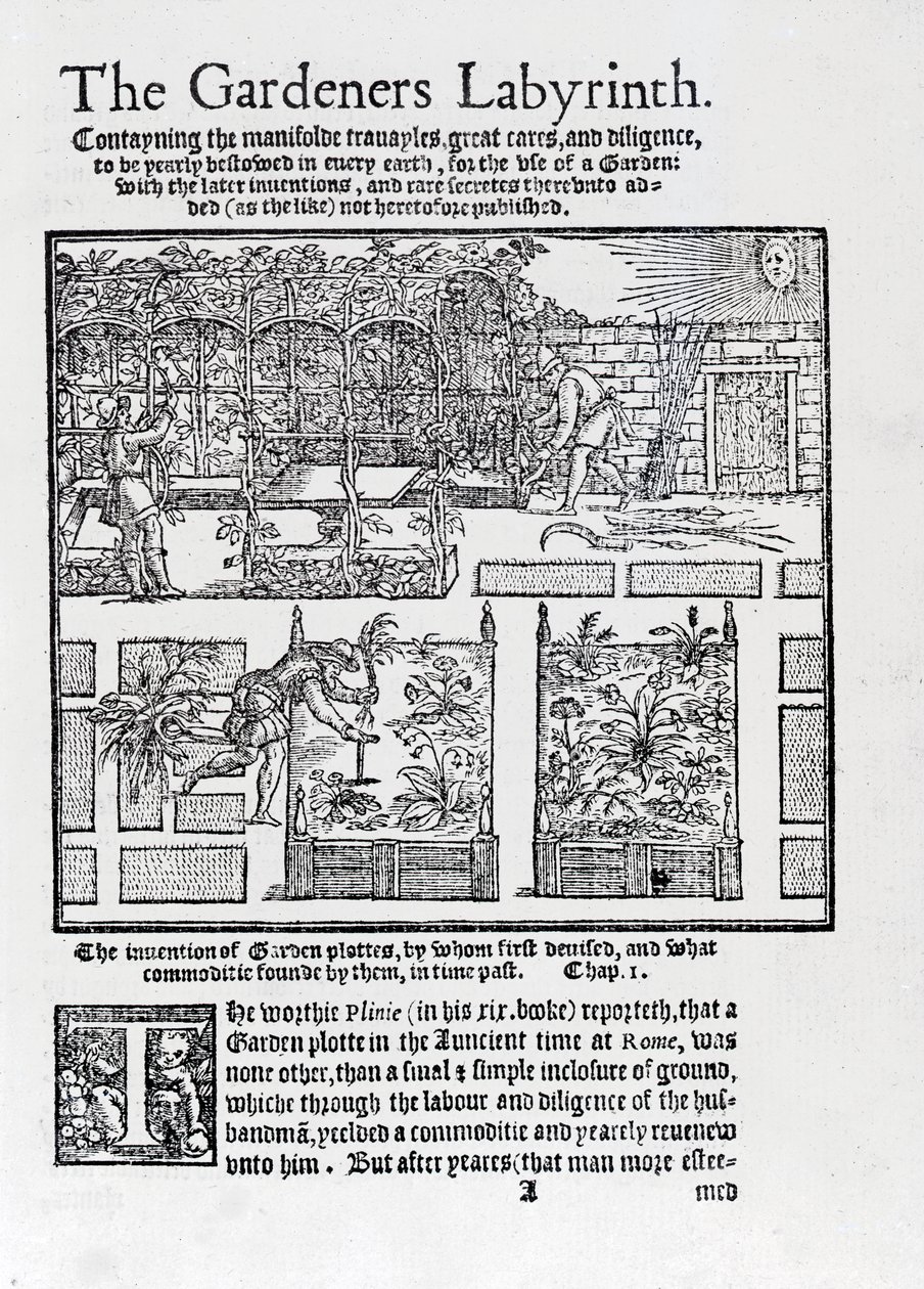 Altán postavený jako stín proti slunci a výsadba na vyvýšených záhonech, z The Gardeners Labyrinth, 1577 od Thomas Hill