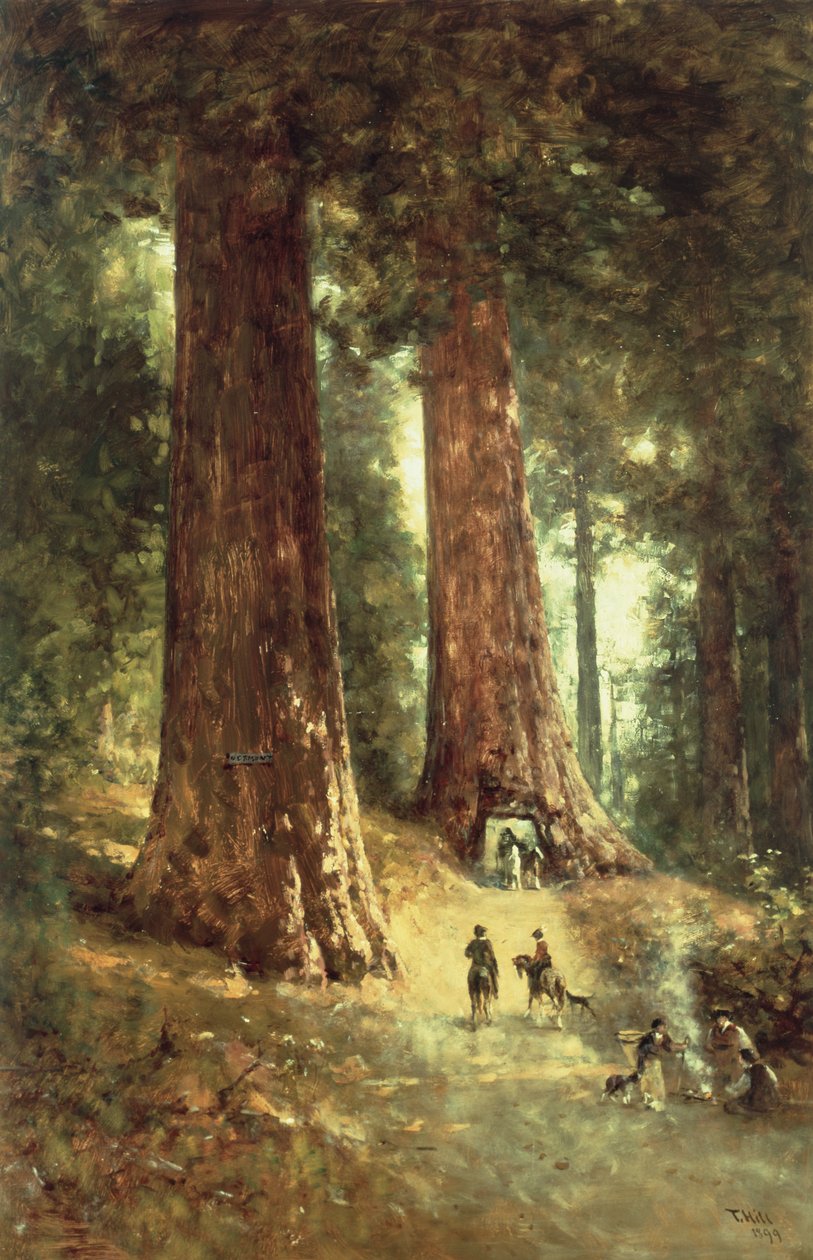 V Redwoods, 1899 od Thomas Hill