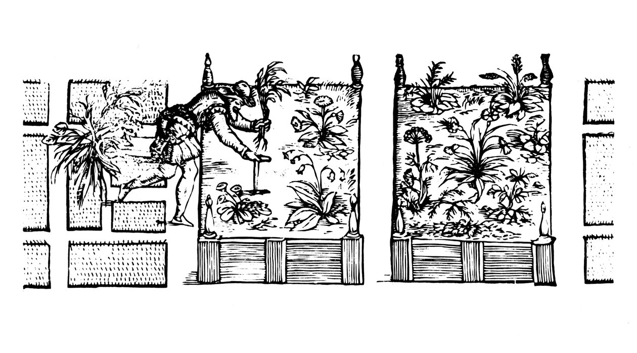 Výsadba na vyvýšených záhonech, z knihy "Zahradníkův labyrint", 1586 od Thomas Hill