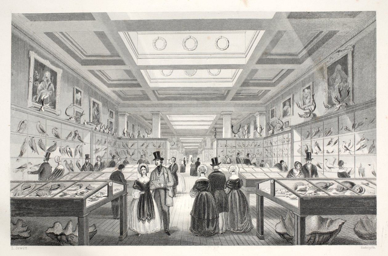 Britské muzeum, Zoologická galerie, z knihy "Londýnské interiéry s jejich kostýmy a ceremoniály" pub. Joseph Mead, Londýn, asi 1843 (ocelorytina) od Thomas Hosmer Shepherd