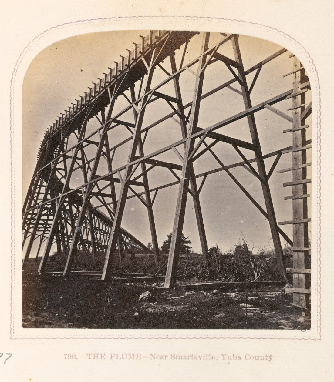 Koryto od Thomas Houseworth