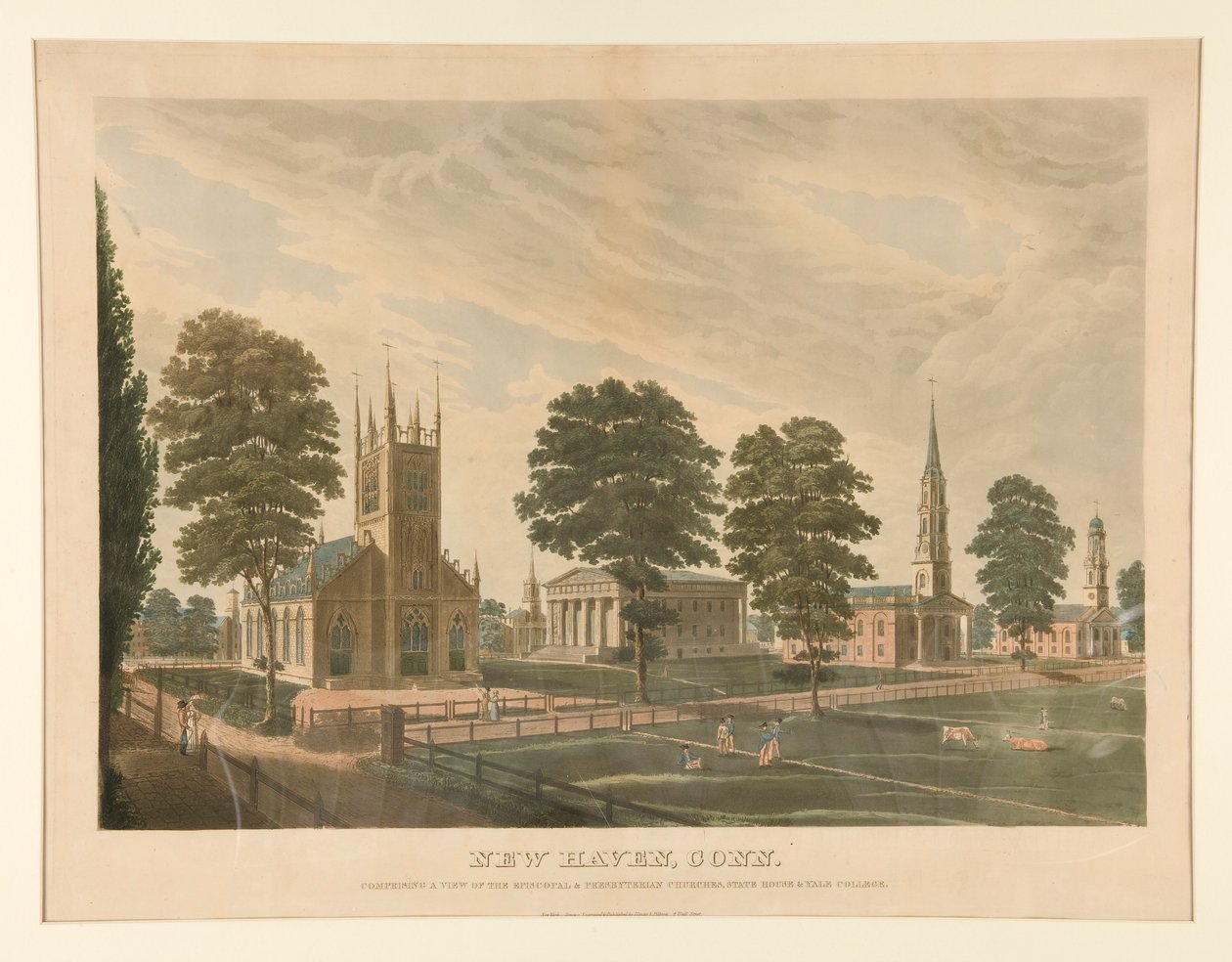 New Haven, Connecticut (Stokes 30) od Thomas Illman
