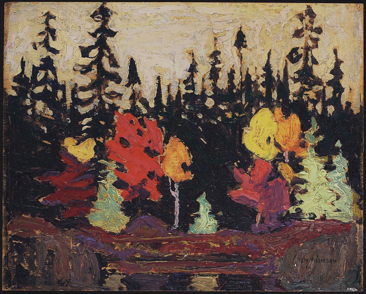 Černý smrk a javor, 1915 (olej na dřevěné desce) od Tom Thomson