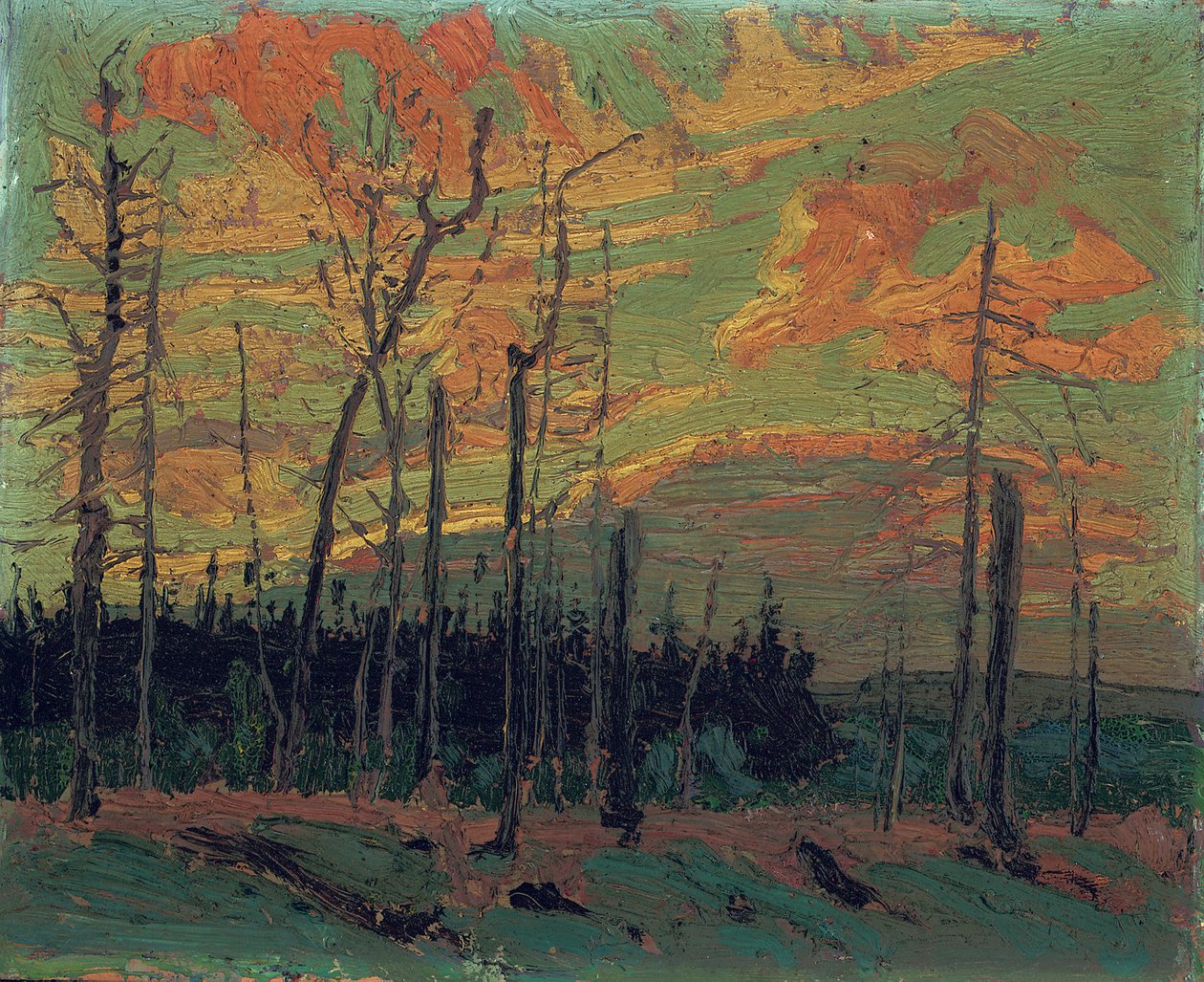 Spálená země při západu slunce, 1915 od Tom Thomson