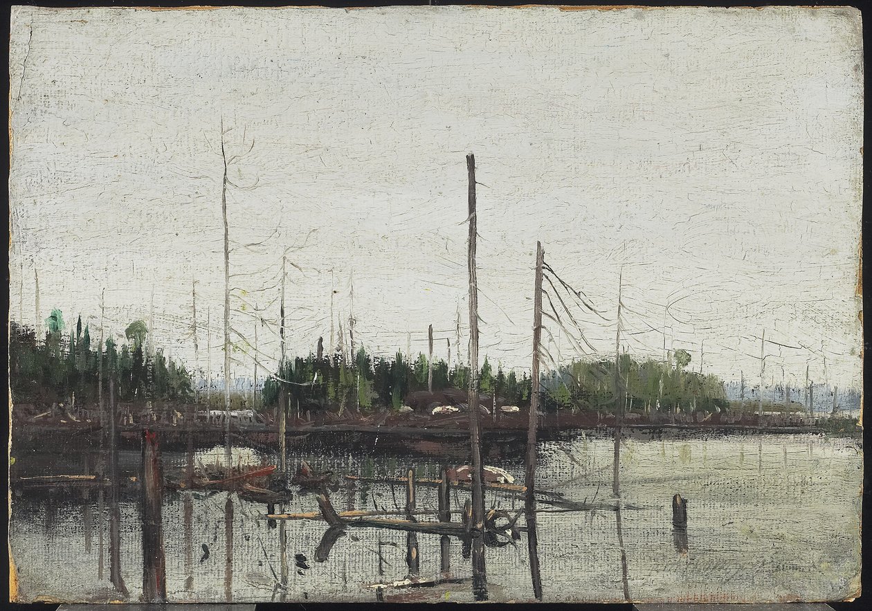 Drowned Land, 1912 (olej na papíře (s reliéfní texturou plátna) na dřevě) od Tom Thomson