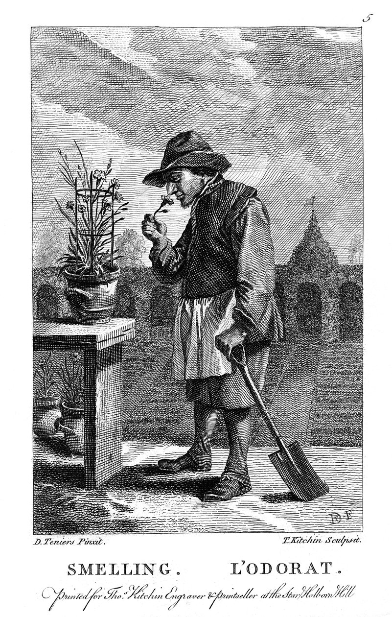 Zahradník vonící po karafiátu nebo růžovém Dianthus, c1750 od Thomas Kitchin