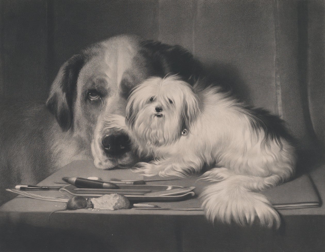 Lví pes z Malty – poslední z jeho kmene, 1844. od Thomas Landseer