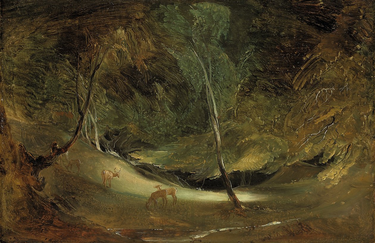 Zdroj potrubí v parku Ilam (olej na papíře, položený na plátně) od Thomas Lawrence