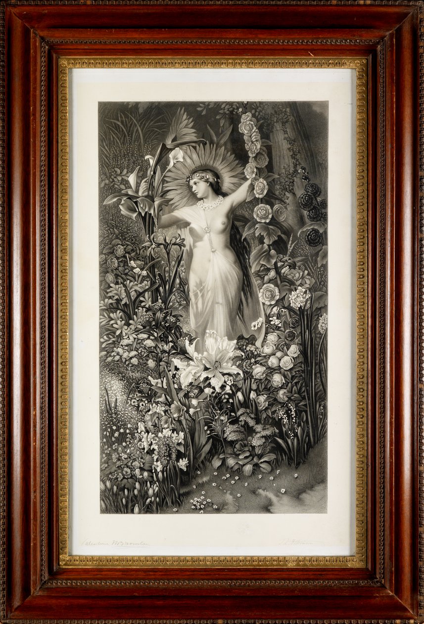 Flora (rytina) od Thomas Lewis Atkinson