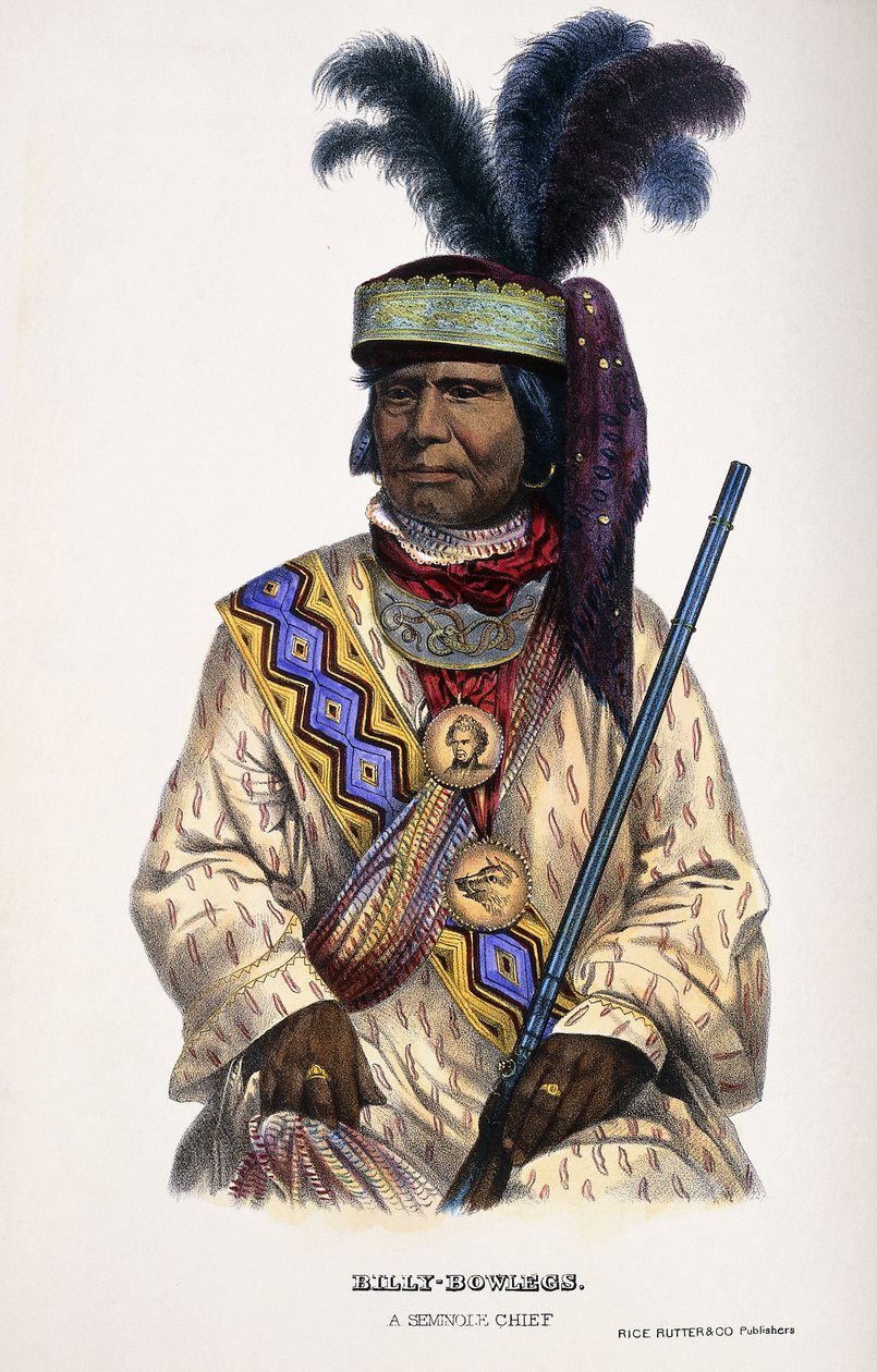 Billy-Bowlegs, náčelník Seminole, 1899 od Thomas Loraine McKenney