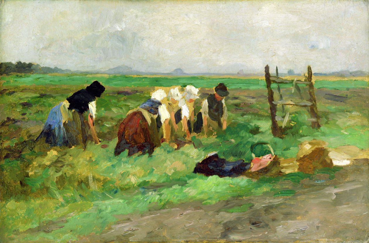 Polní dělníci, kolem roku 1900 (olej na kartonu) od Thomas Ludwig Herbst